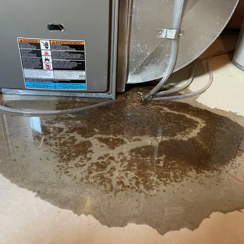 Appliance Leak Cleanup in Wooster, OH